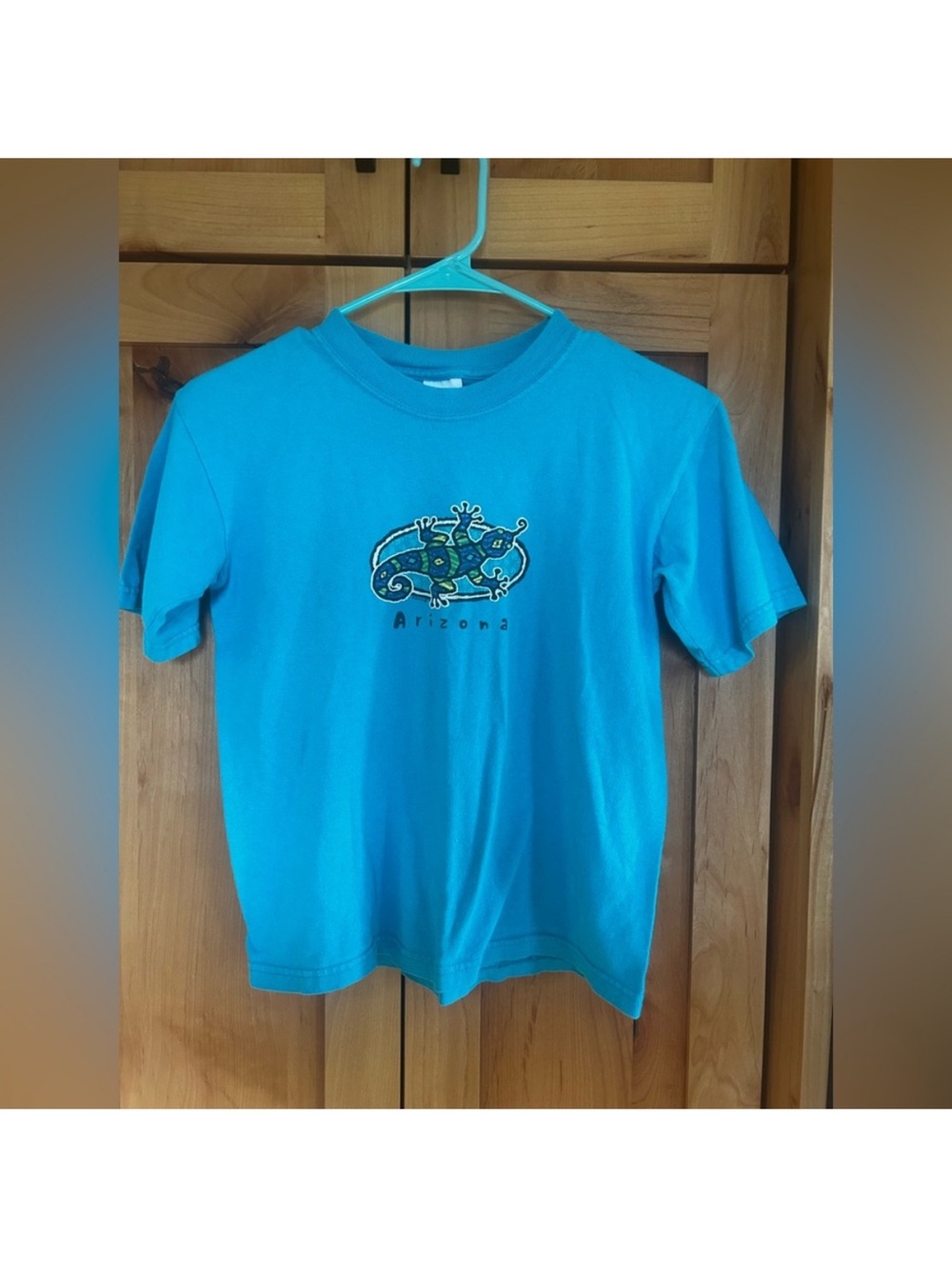 Anvil Blue turquoise Arizona colorful gecko y2k vintage tee youth medium M